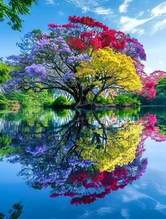 the colorful trees are reflected in the water