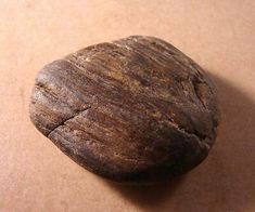 a rock sitting on top of a brown surface