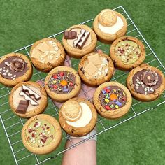 a hand holding a rack full of cookies on top of a green grass covered field