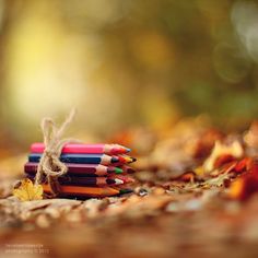 several colored pencils are sitting on the ground in front of some leaves and a rope