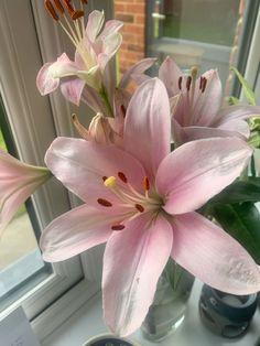 some pink flowers are in a vase on a window sill