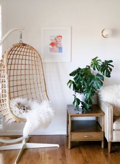 a living room filled with furniture and a hanging chair next to a potted plant