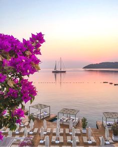 an outdoor dining area overlooking the water with boats in the distance and purple flowers on the table