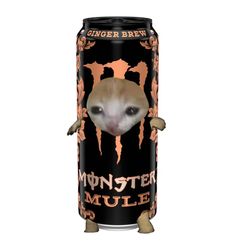 Sad cat in a can, monster, mule, ginger brew, orange Banana Cat, Cute Wallpaper Backgrounds, Cat Memes, Mule, Wallpaper Backgrounds, Cute Wallpapers