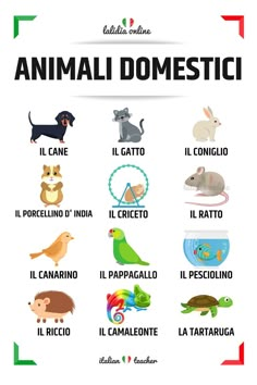 an animal domestici poster with different animals and their names in english, spanish, and italian