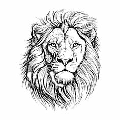 a black and white drawing of a lion's face