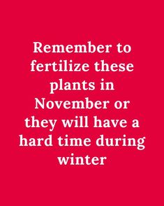 a red background with white text that reads, remember to fertiize these plants in november or they will have a hard time during winter