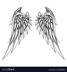 two black and white wings on a white background