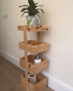 a potted plant sitting on top of a wooden shelf next to a toilet paper dispenser