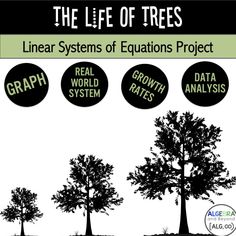 the life of trees linear systems of equatations project