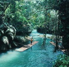 a man standing on a raft in the middle of a river surrounded by lush green trees