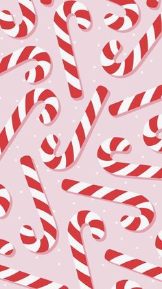 pink christmas wallpaper with red and white candy canes