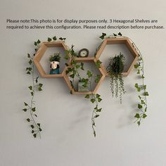 three wooden hexagonal shelves with plants growing on the top and bottom, hanging from the wall