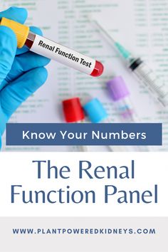 Are you wondering what all those numbers on your renal function panel mean? Learn about the values of your kidney labs, plus tips to help! Kidney Healthy Foods, Kidney Function Test, Low Protein Diet, Improve Kidney Function, Creatinine Levels, Kidney Friendly Foods, Healthy Kidneys, Kidney Diet, Kidney Function