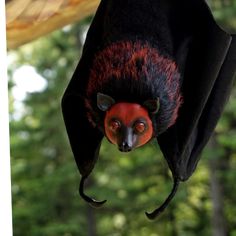 a red headed bat hanging upside down in the air with it's eyes open