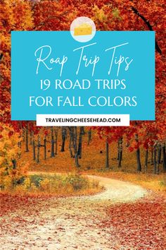 fall trees with the words road trip tips 19 road trips for fall colors