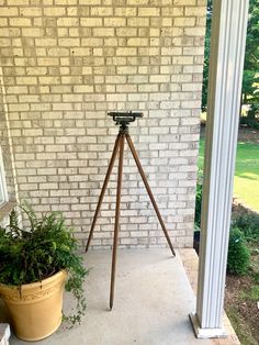 a potted plant sitting on top of a cement floor next to a wooden tripod