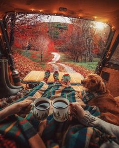 a man and his dog sitting in the back of a truck with two cups of coffee