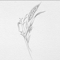 Rye Plant Tattoo, Wheat Tattoos For Women, Hay Tattoo, Ukraine Tattoo Ideas, Small Flower Tattoos For Women, Farm Tattoo, Cowgirl Tattoos, Ankle Tattoos For Women