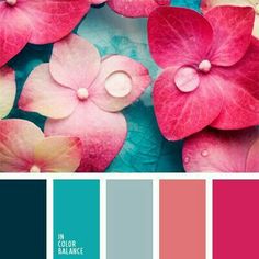 some pink and blue flowers are in the center of a color palette with red, green,