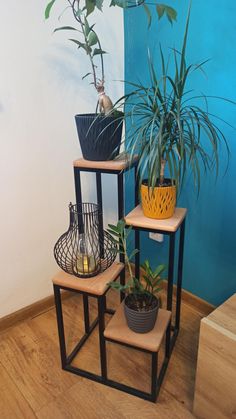 three plant stands with plants in them on the floor next to a blue wall and wooden steps