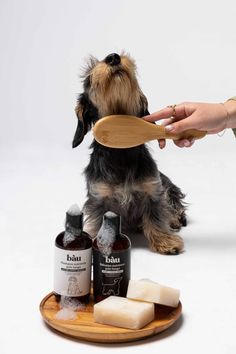 a small dog sitting on top of a wooden plate next to bottles and a brush