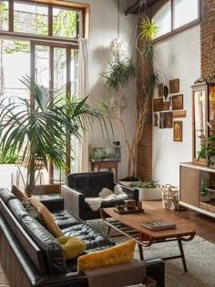 a living room filled with lots of furniture and plants on the windows sills