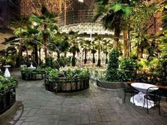 an indoor garden with tables and chairs surrounded by palm trees