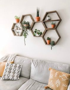 three hexagonal shelves are mounted on the wall above a couch with pillows and potted plants