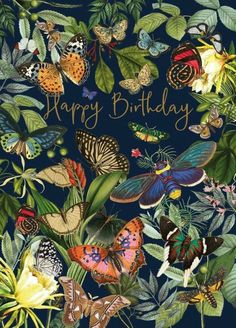 a birthday card with lots of butterflies and flowers on the front, says happy birthday