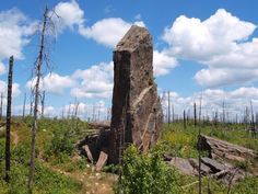 a large rock sitting in the middle of a forest filled with trees and bushes under a cloudy blue sky