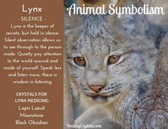 an animal symbol is shown in this image with the caption for lynxx slinec