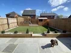 a dog is standing in the middle of a backyard area with grass and wooden fence