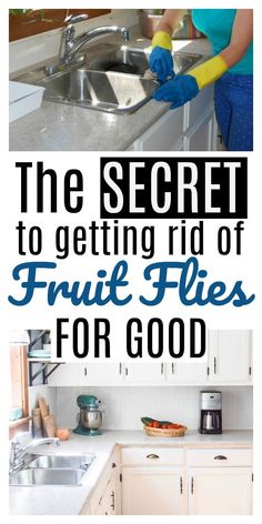 the secret to getting rid of fruif flies for good is that it's easy