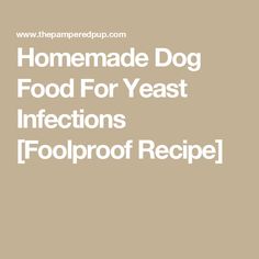 the words homemade dog food for yeast infections foolproof recipe on a beige background