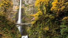 Angel Falls Venezuela, 4k Ultra Hd Wallpapers, Columbia River Gorge Oregon, Gorge Oregon, Waterfall Wallpaper, Oregon Waterfalls, Multnomah Falls, Columbia River Gorge, Best Iphone Wallpapers