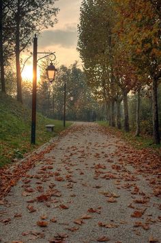 the sun is setting on an empty path in the park with leaves all over it