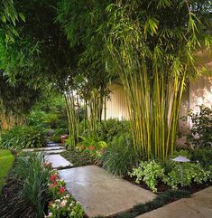 a garden with lots of plants and trees