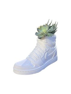 Nike Jordan 1 Sneaker Planter Shoe Pot Shoe Planter - Etsy Shoe Room Decor, Sneaker Room, Shoe Planter, Sneakerhead Gifts, Basketball Bedroom, Shoe Room, Nike Jordan 1, Baskets Nike, Nike Jordan