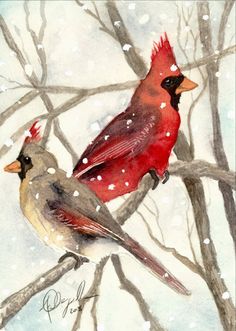 two red birds sitting on top of a tree branch in the snow with white snow flakes