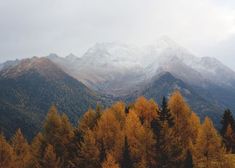 the mountains are covered in snow and trees with yellow leaves on them, as well as white capped peaks