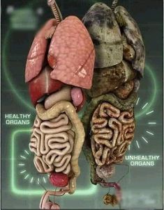 an image of the human organs and their functions