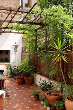 an outdoor patio with potted plants on the floor and a wooden pergoline