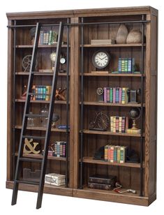 a bookcase with ladders and books on it