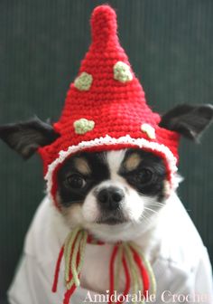 a small dog wearing a crocheted red and white hat with hearts on it