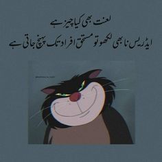 an image of a cartoon cat with arabic writing on the front and bottom half of it