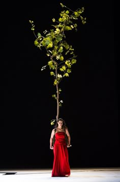 a woman in a red dress standing next to a tree with green leaves on it