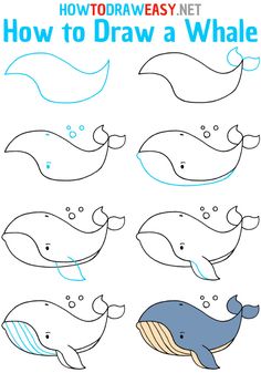 how to draw a whale for kids with easy step - by - step drawing instructions