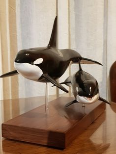 two fake orca whales on display on a table