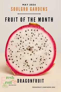 the fruit of the month dragonfruit is on display in this advertisement for soulgro gardens